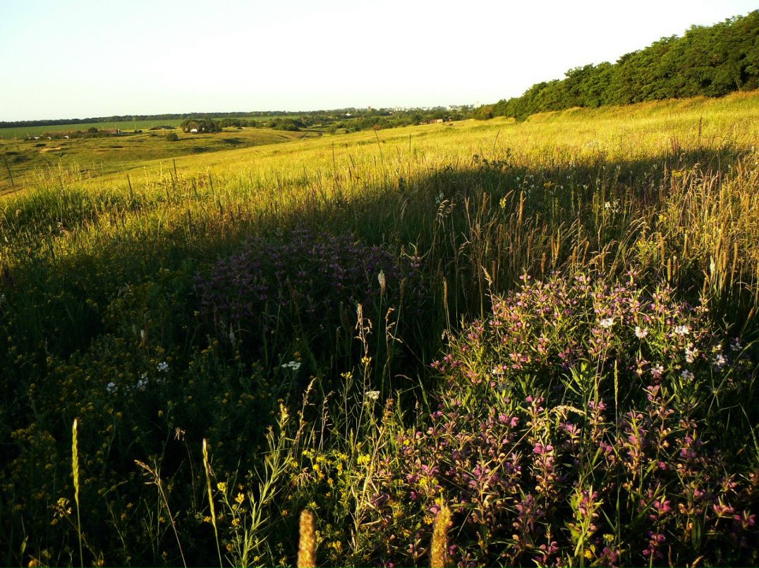 Лина Петренко | Днепр (Днепропетровск)
