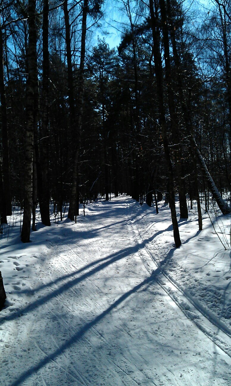 Александр Волков | Москва