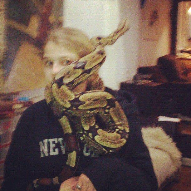 Поллитровая Мышь ¤ | New York City