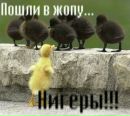 Фотография Руслан Глєбов