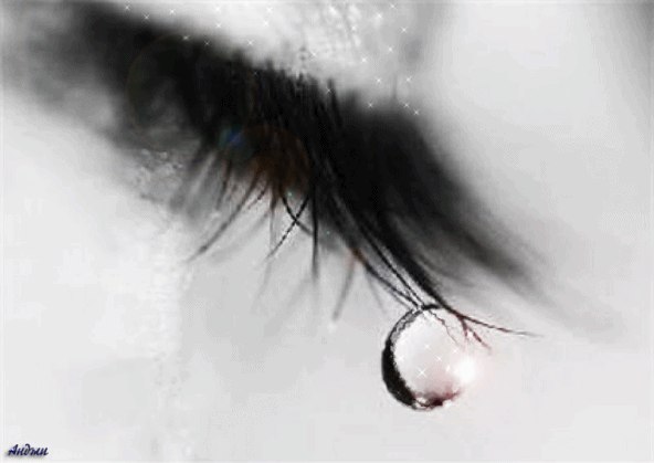 Ольга Петрова | Санкт-Петербург