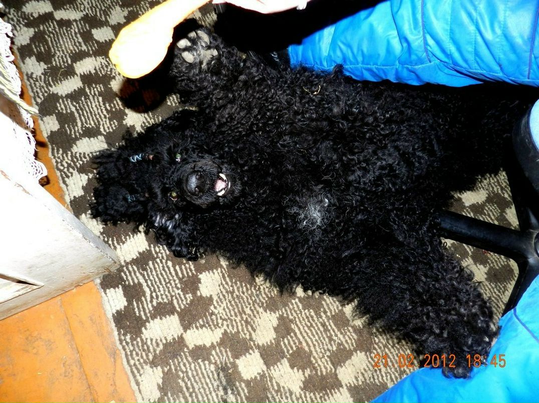 Иван Тюфяков автодок | Киров