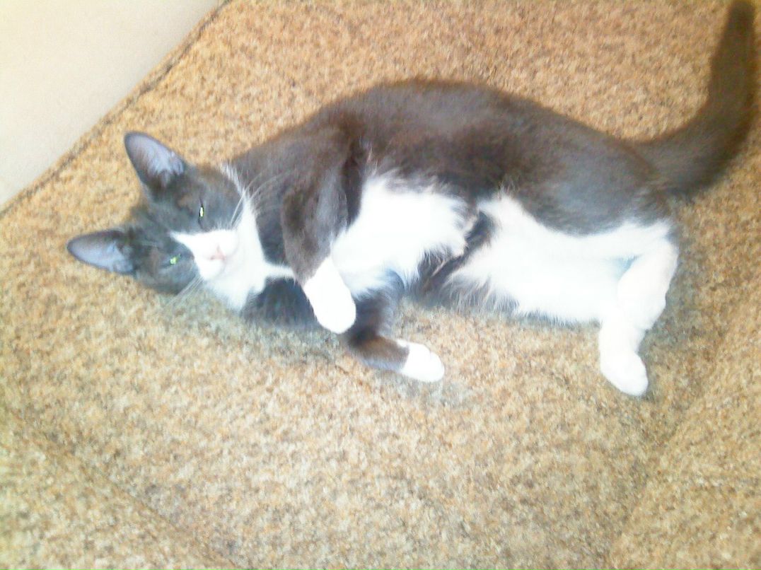 Лариса Ханова | Санкт-Петербург