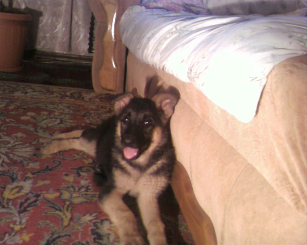 Сергей Ташкинов | Первомайск