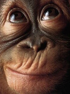 Антон Матвеев | Москва