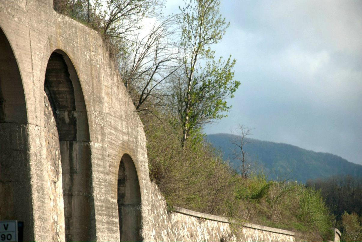 Анна Нестерова | Санкт-Петербург