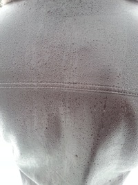 Александр Сергеев