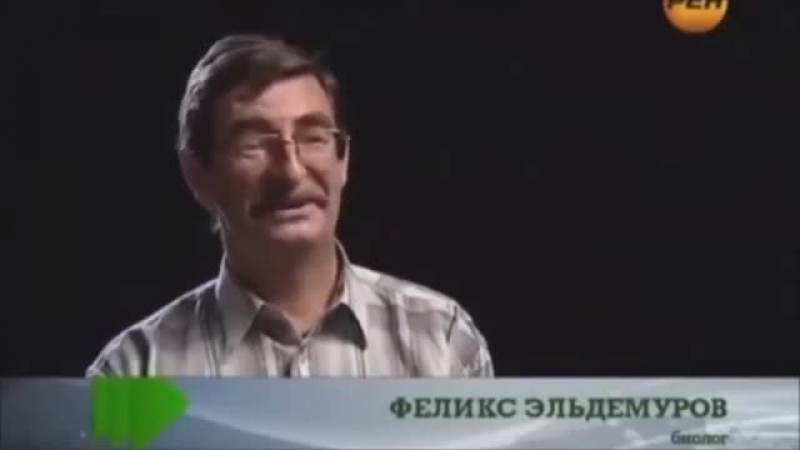 Иван-Чай - Река Жизни