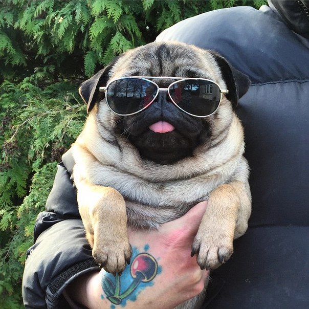 Валерия Буштакова, Россия, Новосибирск