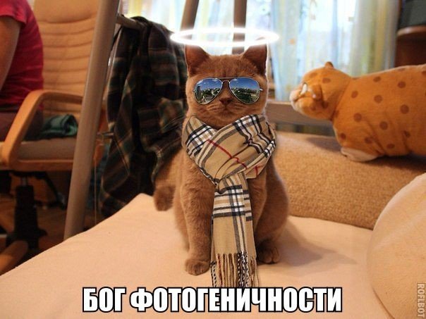 Валерия Гайсина, Россия, Саратов