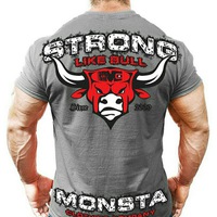 Владимир Волк