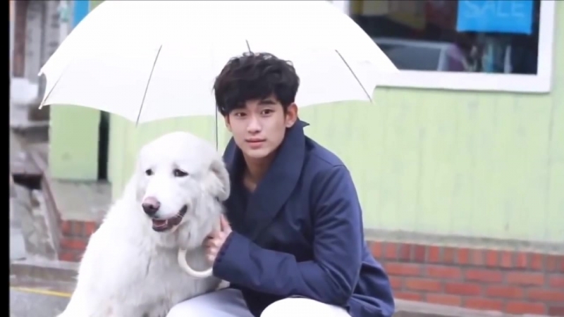 FM Kim Soo Hyun with puppies too