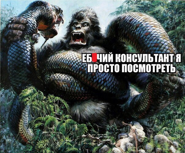 8iszlvhj7YQ.jpg