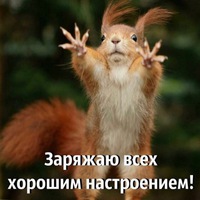 Светлана Поликарпова