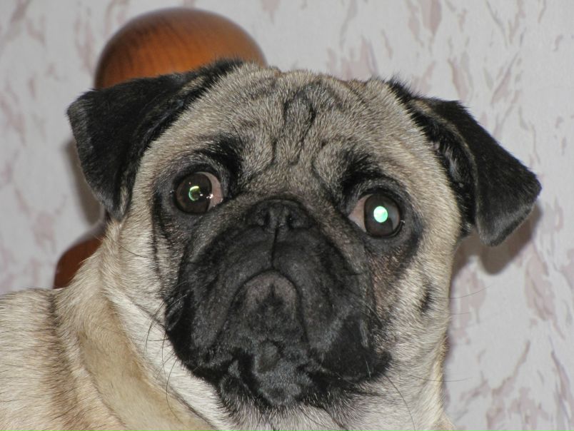 №62, Инна Карабанова, 38 лет, Новороссийск №62, Инна Карабанова, 38 лет, Новороссийск