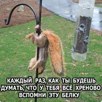 Денис Попов