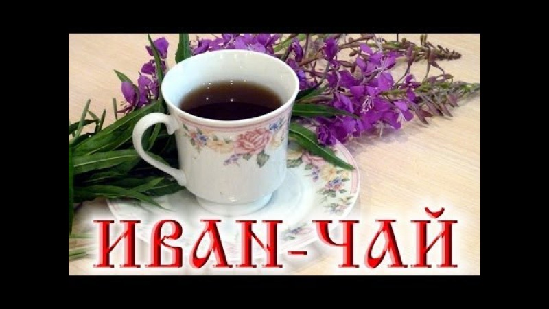 Два способа заготовки Иван-чая в домашних условиях