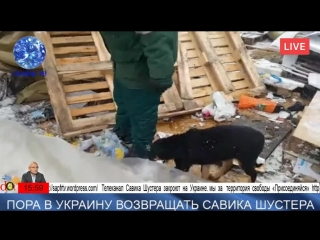 Зараз під Радою. Демонтаж.