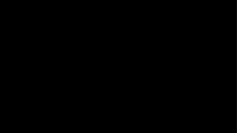 Yogi