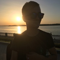 Дмитрий Николаев