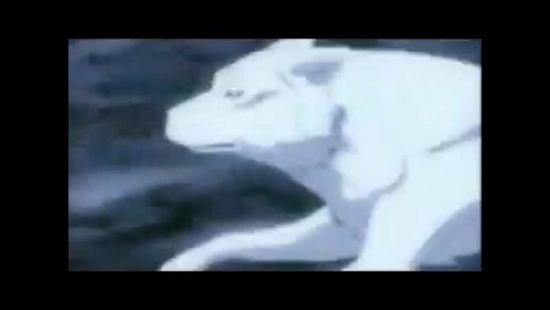 Anime - Wolf's Rain + Rammstein - Ohne Dich - Скачать видео ВК
