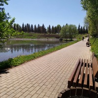 Светлана Новичкова