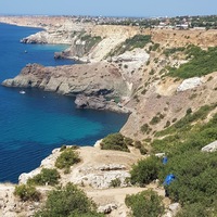 Елена Ситникова