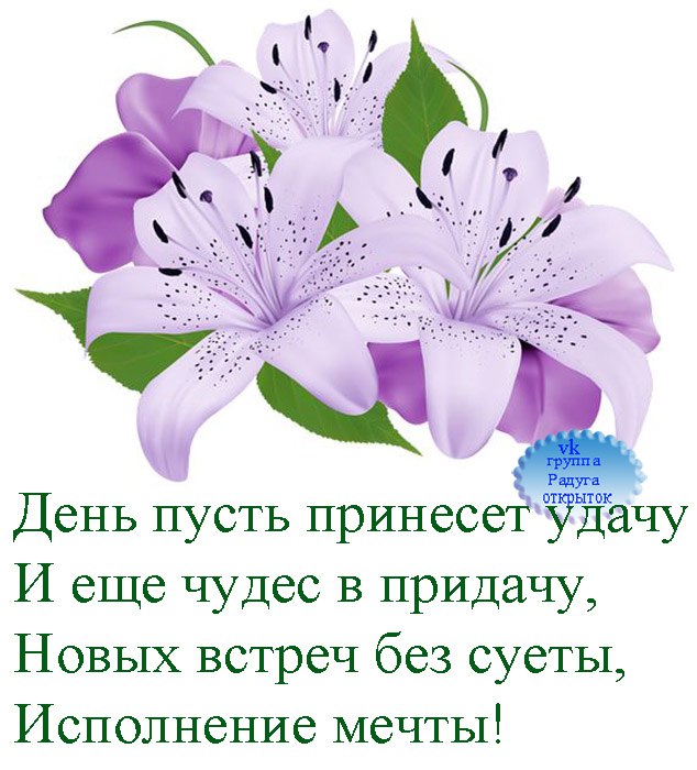 Открытки пусть новый день приносит удачу, днем вдв картинки