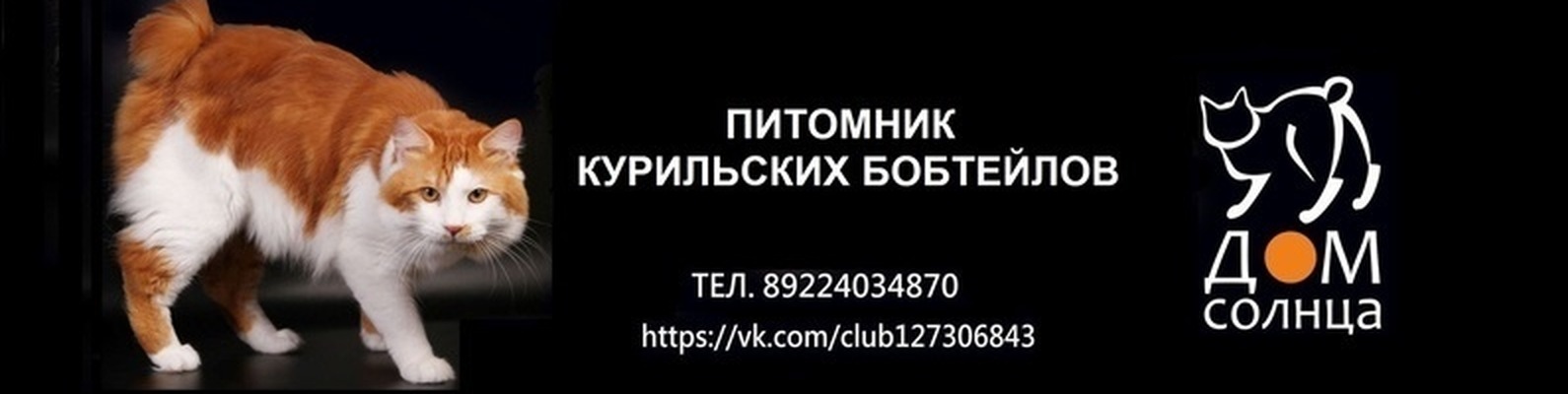 Питомник Солнечный Интернет Магазин Волгоград