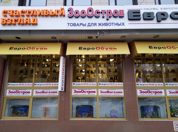 Зооостров Магазин Аквариумных Товаров Воронеж
