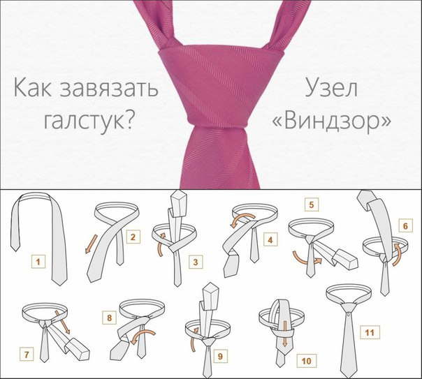 камбербэтч стал как завязать галстук инструкция в картинках самого старинного города