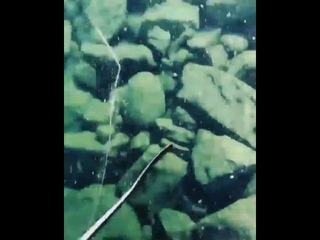 Катаклизмы и аномальные явления