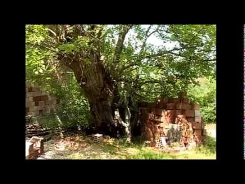 Istorija sela Dugo Polje