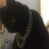 Герман Соколов