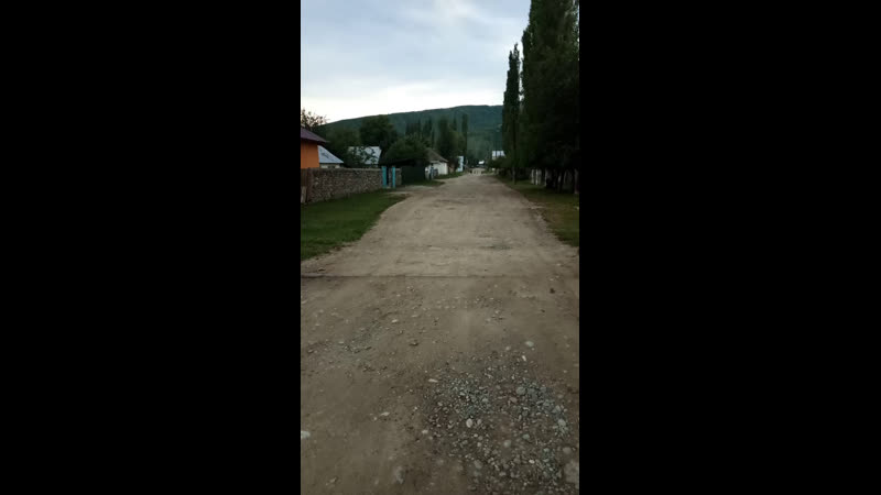 Live Навобод шахраки зебо