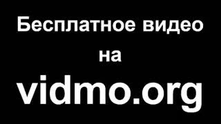 Zenvideo Org