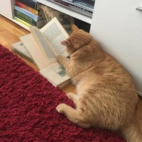 Алексей Лебедев