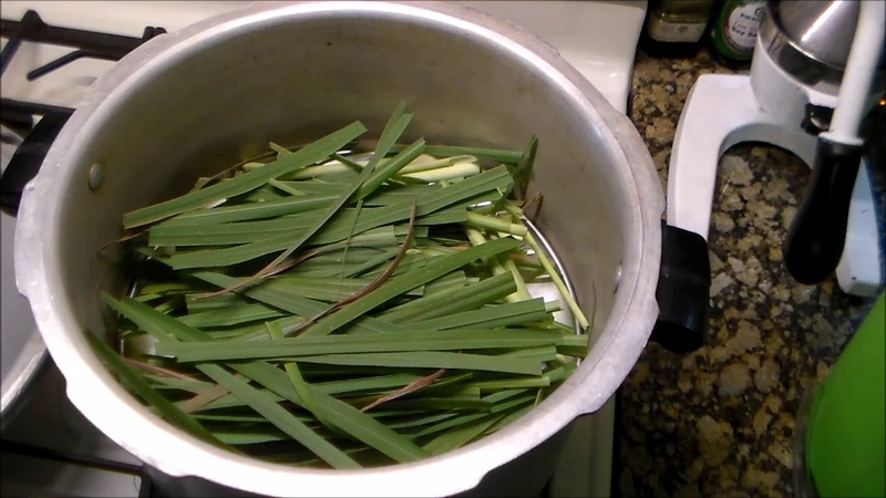 Oil Extraction from Herbs with DIY Kitchen