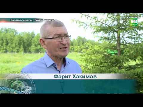 Төмән | Татарлар | 03062020