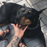 Василий Баринов | 