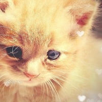 Ия Андреева | Москва