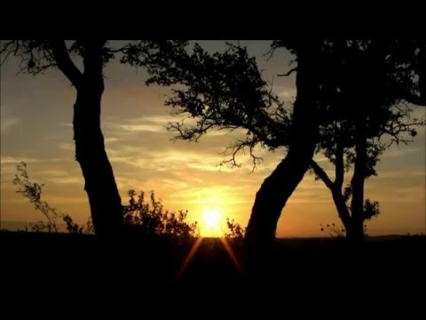 FEDERICO GARCÍ A LORCA Alba. Recitado por Joan