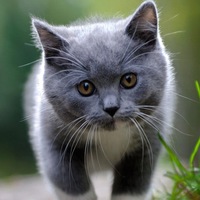 Евгений Барков | 