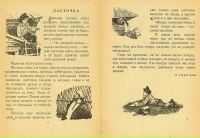гнездо ласточки береговушки внутри. художественное произведение про ласточку. новорожденный ласточка. прочитай текст под крышей было гнездо. под крышей было гнездо ласточки текст.
