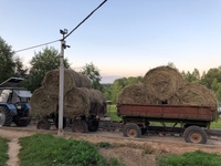 Золотой Телёнок - ферма в деревне Поджигородово