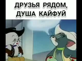 Miko Azimbay kullancsndan video