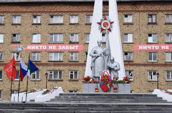 клевер пунцовый. инта город. цветы штучно. букет хризантем. цветы печора доставка.