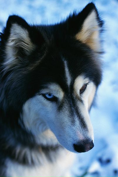 №12, Мария Киреева, 26 лет №12, Мария Киреева, 26 лет