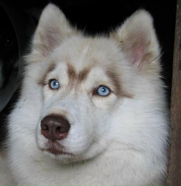 №131, Сашок Лобанов, 45 лет, Одесса №131, Сашок Лобанов, 45 лет, Одесса