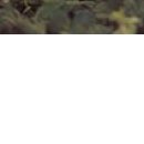 №89, Лариса Дулова, 45 лет, Санкт-Петербург №89, Лариса Дулова, 45 лет, Санкт-Петербург